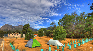 campsite2 360x200